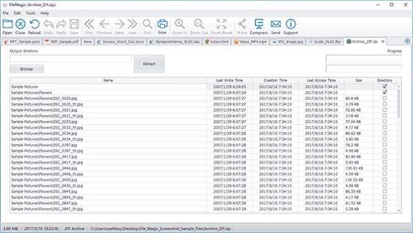 File Magic Crackeado 1.10b Baixar PT-BR 2026