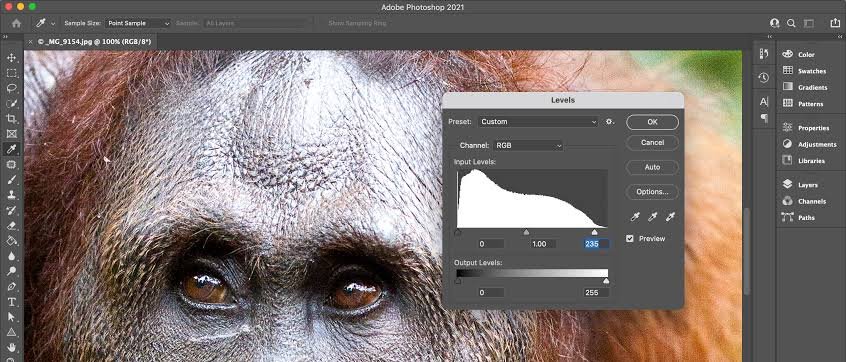 Adobe Photoshop Download Gratis 2021 Crackeado