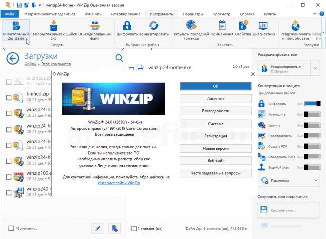 Winzip Crackeado Raton Gratis Download PT-BR 2026
